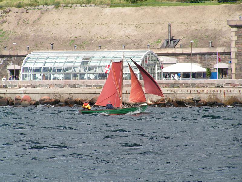 08 05 412.JPG